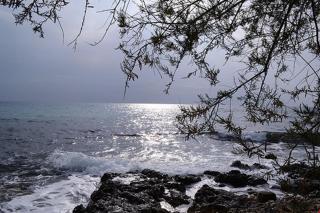 Hotel del Mare - Gallipoli - 4