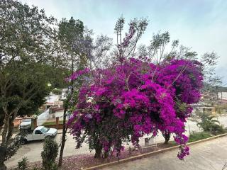 Departamento Lumina Sipeh Xalapa - Xalapa - 5