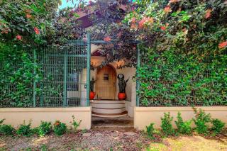 Vive Utila - Bed & Breakfast - Útila - 8