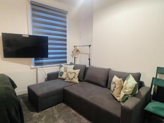 Impeccable 1 Bedroom Flat in Central London - London - 5