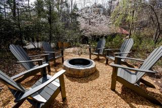 Sunny Bear Escape - Blue Ridge - 4