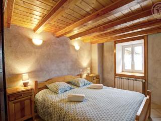 Gîte spacieux avec terrasse, poêle à bois, parking privé, et jardin fermé, animaux acceptés - FR-1-496-28 - Saint-Bonnet-le-Courreau - 1