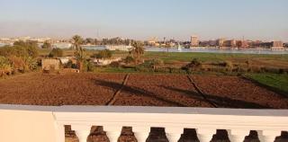 Nille and Garden View - Jazīrat al ‘Awwāmīyah - 7