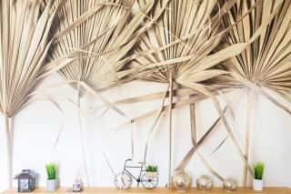 Cosy Pavillon 2chambres proche mer - Ondres - 5