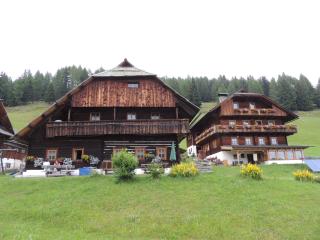 Schrunerhof - Ebene Reichenau - 3