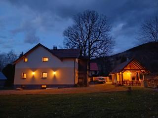 Vila Pohoda - Apartmán s vonkajšou terasou a záhradou - - 5