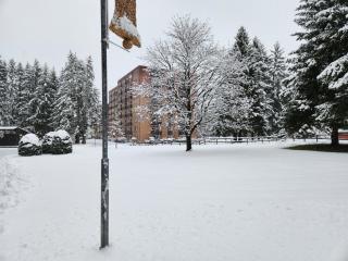 Traumblick - Altenau - 5