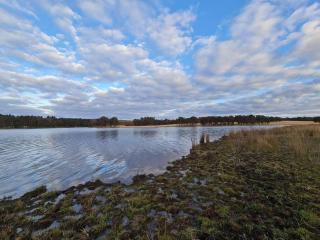 Burramere Homestead - Eukey - 5