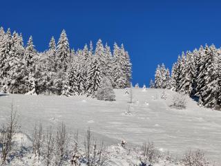 Berggasthaus Präger Böden - Todtnau - 2
