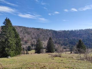 Berggasthaus Präger Böden - Todtnau - 5