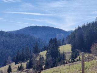 Berggasthaus Präger Böden - Todtnau - 3