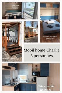 Mobil Home proche EUROPA PARK/RULANTICA - Boofzheim - 8
