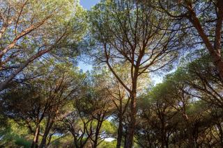 Camping Village Il Sole - Marina di Grosseto - 6