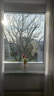 Cozy apartment in Graz Geidorf - 8