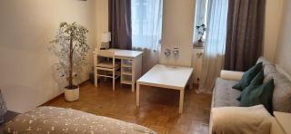 Von privat, Großes Zimmer sehr zentral in Bad Homburg Stadtmitte - Bad Homburg vor der Höhe - 5