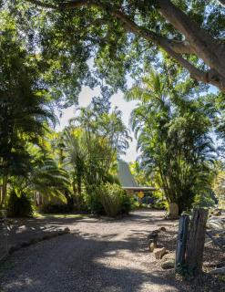 Fig Tree Creek Retreat - The Pocket - 1