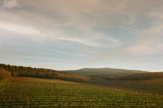La Dama Country Rooms - Monteriggioni - 4