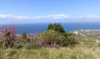 Altheas Maisonettes - Xylokastro - 7