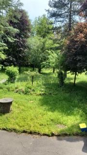 Goutanou chambre 3 - Châtillon-en-Michaille - 4