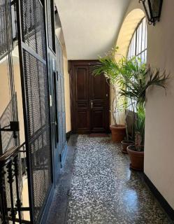 Homely Classic Flat in City Center close to Metro & Station - Torino - 5