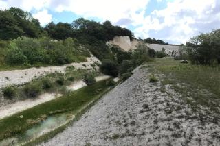 FeWo Am kleinen Königsstuhl - Sagard - 7