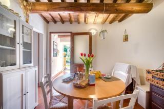 Lavanda ad Antico Casale '700 - 5