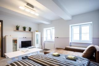 Spacious Apartment 20 Min from National Theatre - Praga - 1