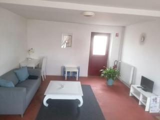 Maison entre ville et campagne - Amilly - 2