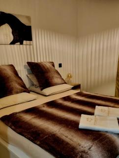 Chambre d'hôtes au Haras d'Agathe et ses princes - Les Barils - 6