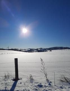 Sauerland-Alm - 1