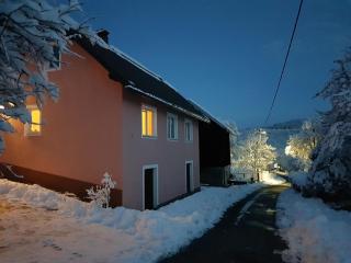 Ferienhaus Für 4 Personen Ca 65 M Sup2 In Brod Moravice, Gespanschaft Primorje Gorski Gorski Kotar - 9
