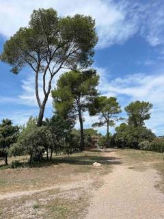Appartement T3 rez de jardin, résidence piscine - Fréjus - 8