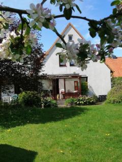 Freistehendes Ferienhaus in Adendorf mit Terrasse, Grill und Garten - Adendorf - 9
