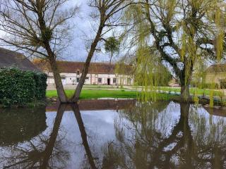 Gîte au Haras d'Agathe et ses princes - Les Barils - 4