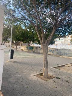Sunrise beach - 6