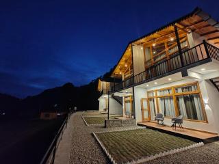 Silver fern by the Hillside - Nainital - 6