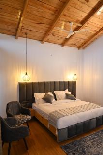 Silver fern by the Hillside - 2