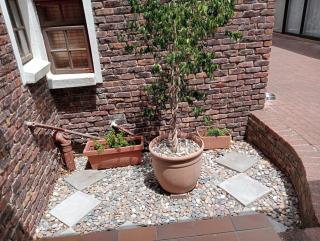 Marinda's B&B - Kaapstad - 7