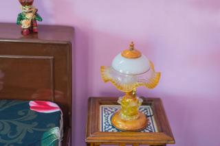 Chopasani Room - Jodhpur - 4