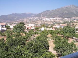 CASA CARMEN - Alcaucín - 7
