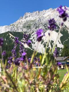 Club Villa - Ramsau am Dachstein - 6