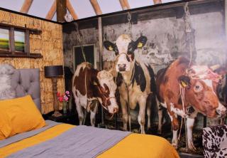 B&B de Witte Weide - Nieuwlande - 2