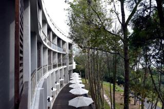 Sun Moon Lake Bamboo Rock Garden - Yuchi - 0