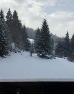 Ferienwohnung In Frauenberg Mit Garten - Haidmühle - 5