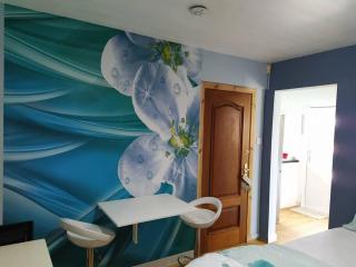 Double Ensuite room, 1-minute walk to bus stop - 1