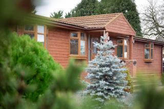 3 Bedroom lodge with hot tub - York - 7