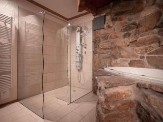 Holiday home with sauna in Viechtach - Viechtach - 5