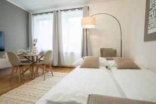 51m2 pet-friendly apartment in a central location - Vienne - 1