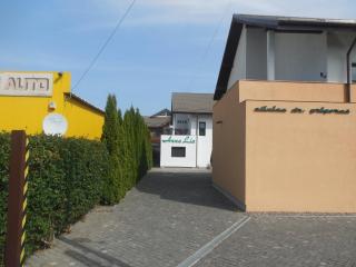 Villa AnnaLia - Rooms to Rent - Bacău - 6