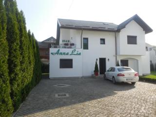 Villa AnnaLia - Rooms to Rent - Bacău - 5